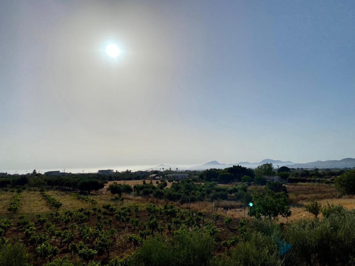 Sunset View Apartment, In The Nature, At Zipari "6" Zipárion 外观 照片